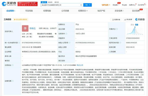 蔚来成立新公司拓展多元业务版图，布局网约车与全链条服务