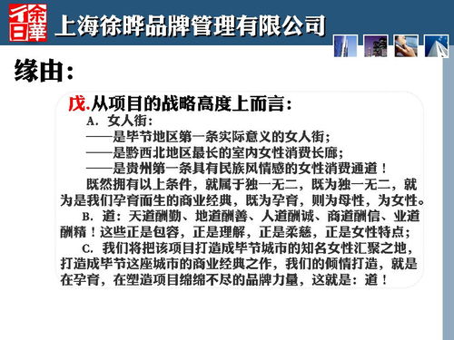 商业策划人刀锋与2013年毕节金街口项目 一次定位策划的深度实践与公关服务启示