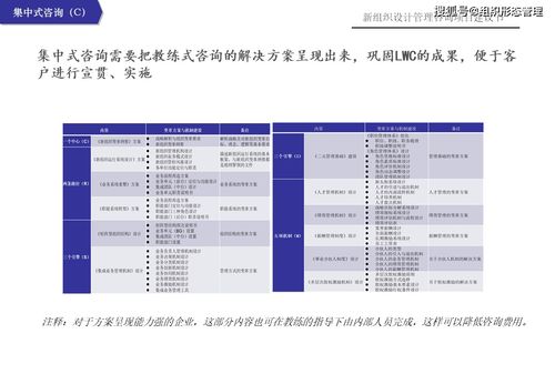 新组织设计管理咨询项目建议书